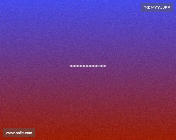 布雷默与伊尔迪兹因身体负荷管理缺席训练 但问题不大